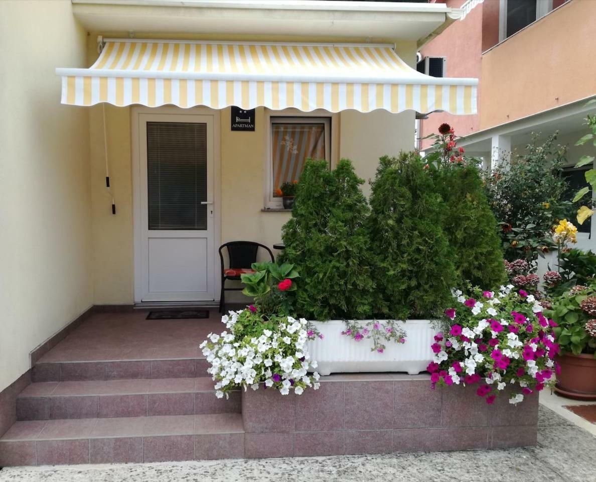 Apartment Ivana